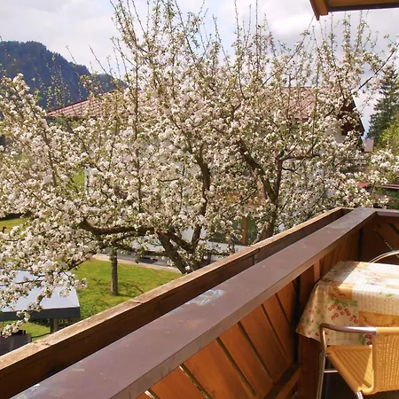 Morgenrot By Interhome Apartment