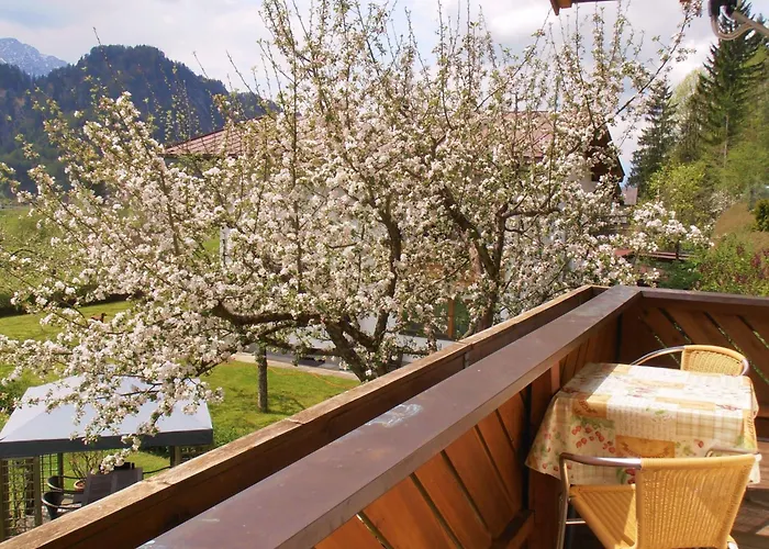 Morgenrot By Interhome Apartment